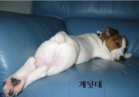 20130224_120358.png