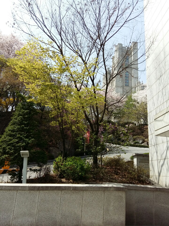 KakaoTalk_20160408_123556741.jpg