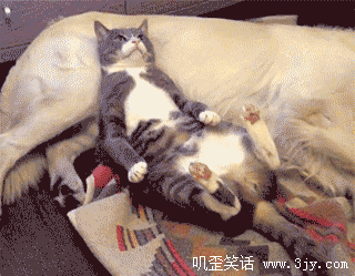 뭐지.gif