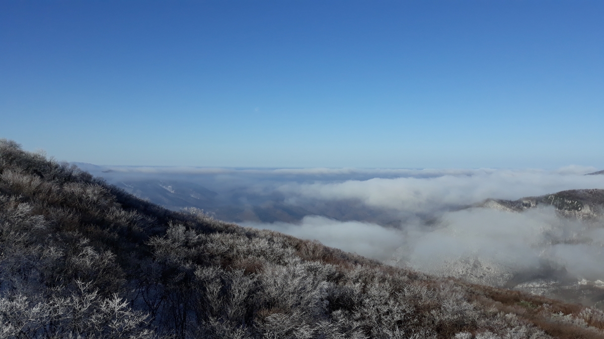 20180306_084824.jpg