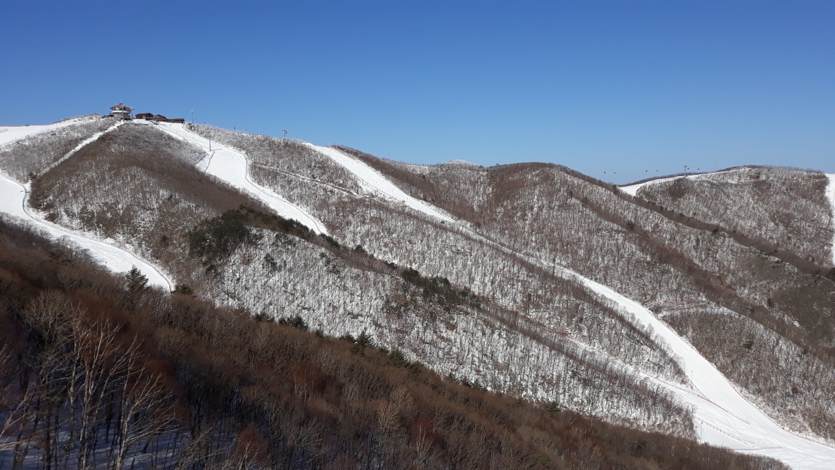 20180306_091838.jpg