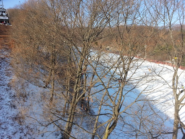 20141115_083656.jpg