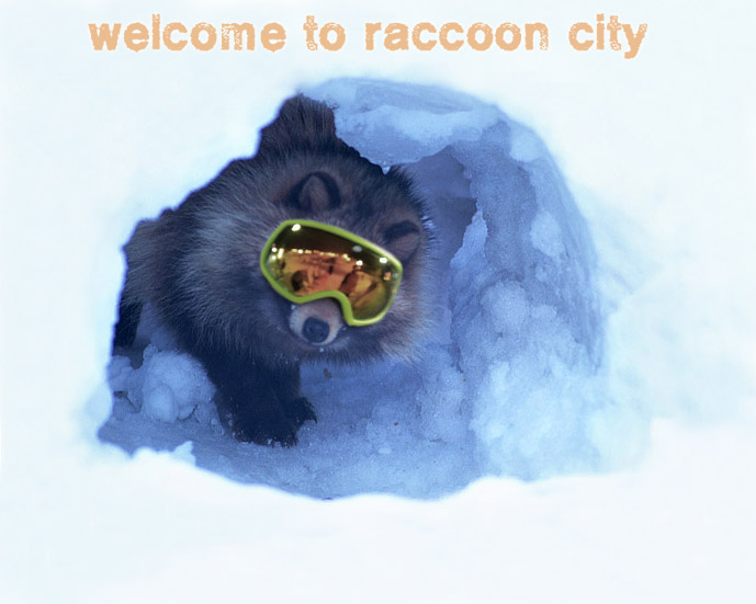 91.jpg