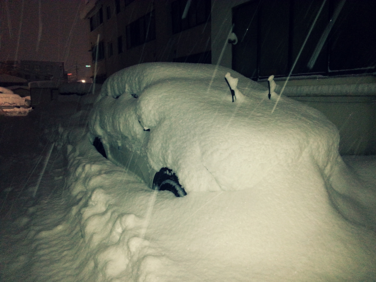 MyPhoto_1094402226_1941.jpg