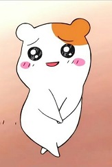 햄토리 부끄.jpg