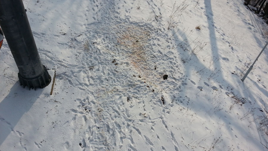 20140220_155043.jpg
