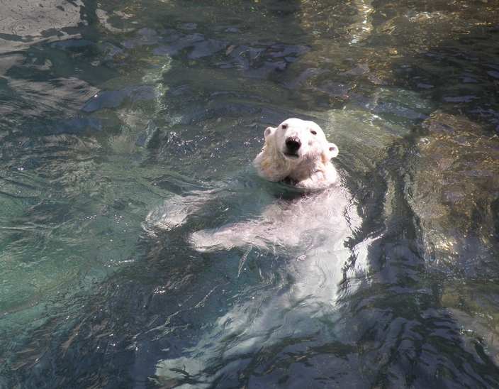 20141021_132146.jpg