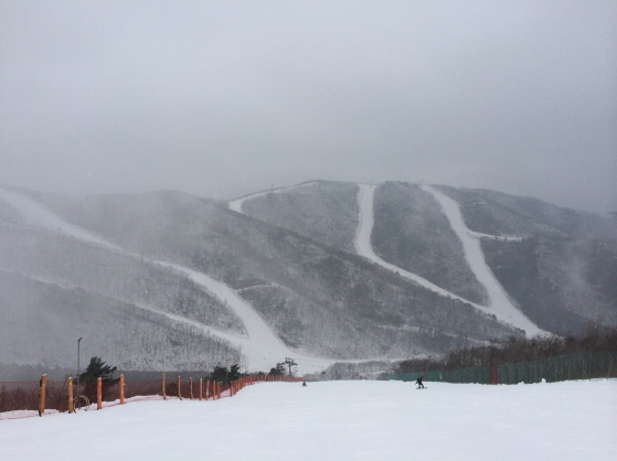 크기변환_P20140104_111947670_BC691693-376F-4D05-9A8D-4172F497B072.JPG