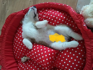 2011-06-05 12.14.22.jpg