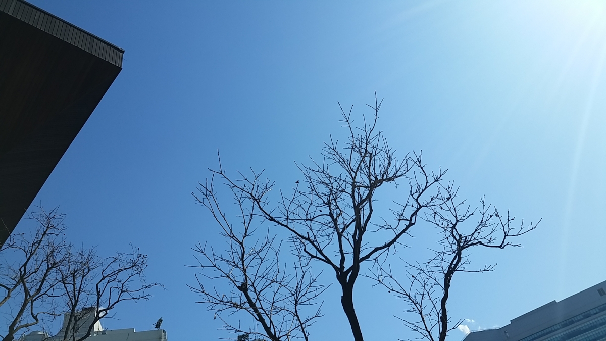 20150310_141328.jpg