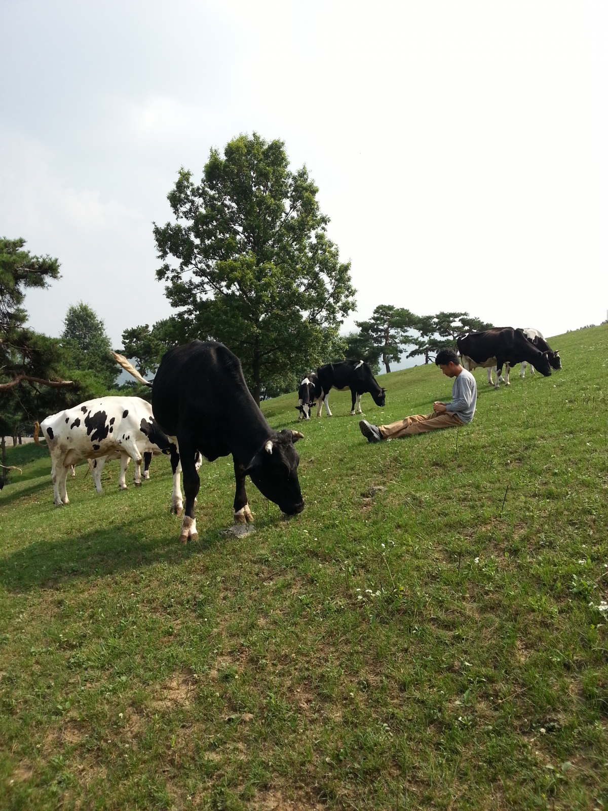 20150714_151339.jpg