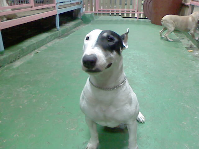 사진08~1.JPG