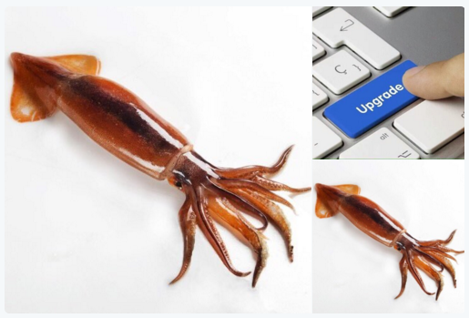 5.png
