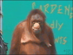 e8cb252589cb6cad4d162934d2fe123c.gif