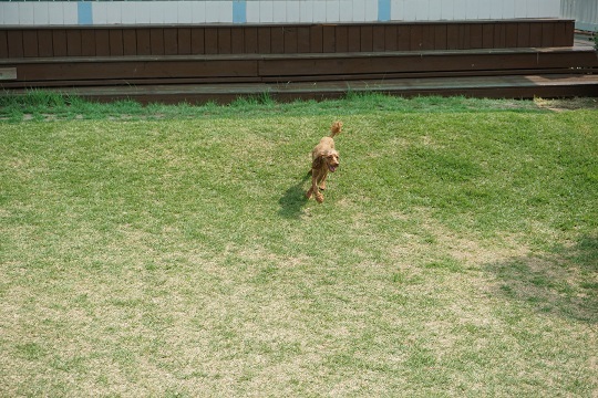 DSC03888.JPG