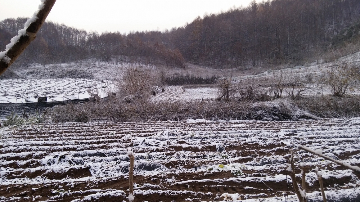 크기변환_20151126_074640.jpg