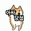 시바견_당첨.gif