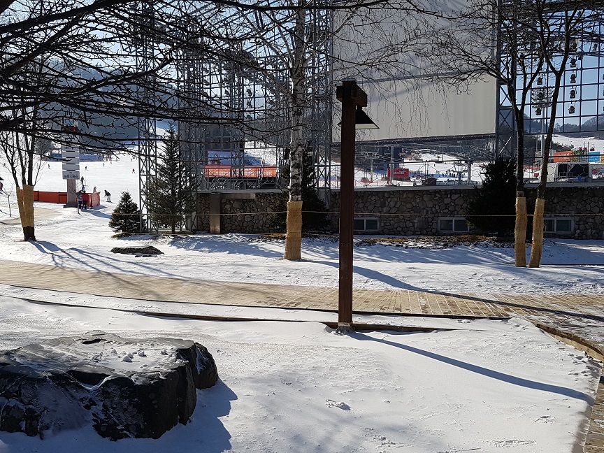 20170110_112641.jpg