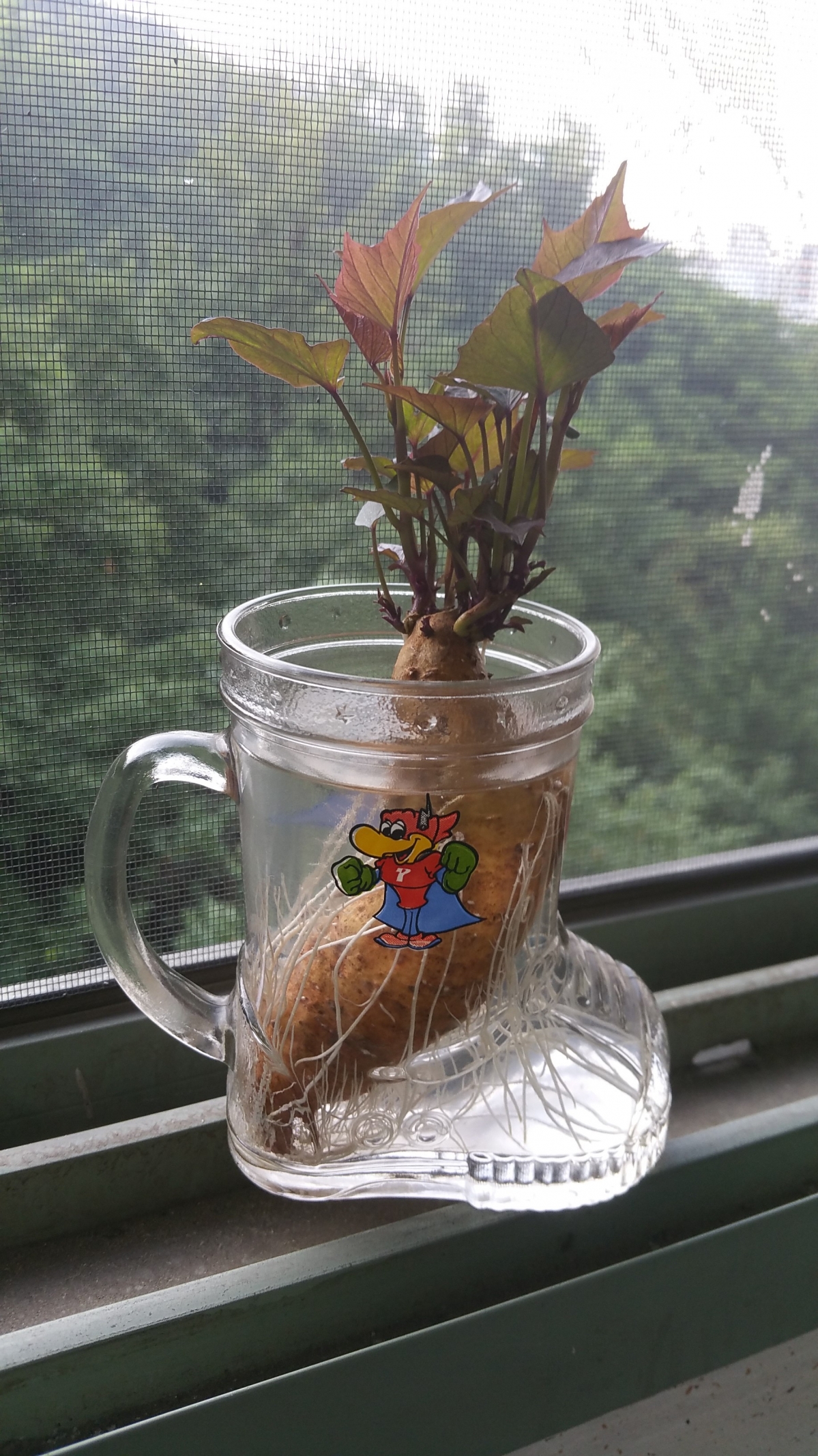 구마.jpg