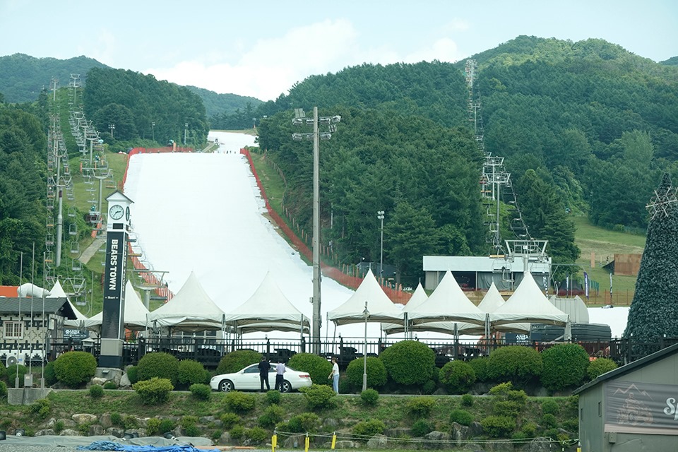 p2.jpg