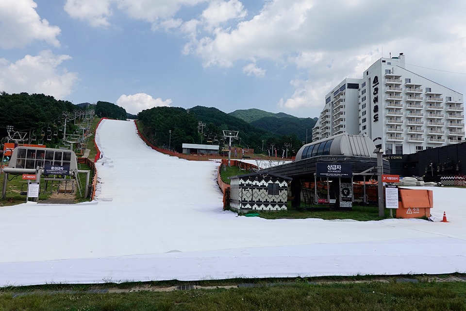 p1.jpg