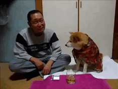 (우울)그만드세요 개가 말림.gif