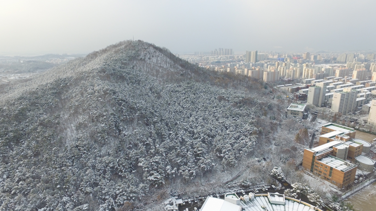 DJI_0001.JPG