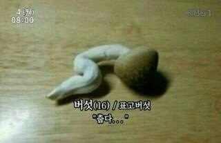춥다.jpg