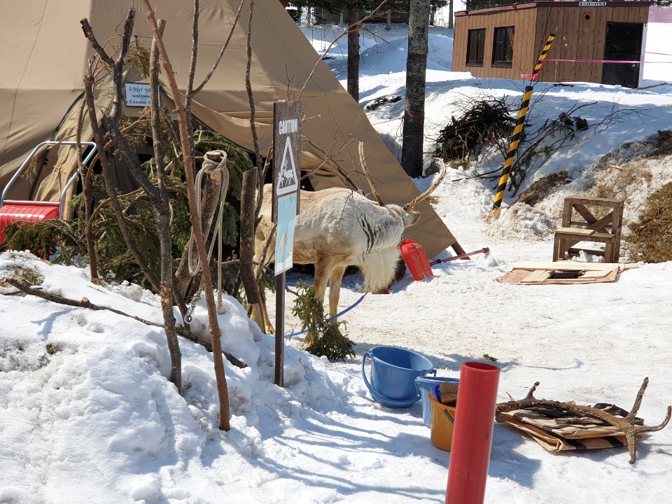 KakaoTalk_20190331_115343194.jpg