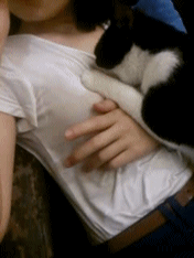 17.gif