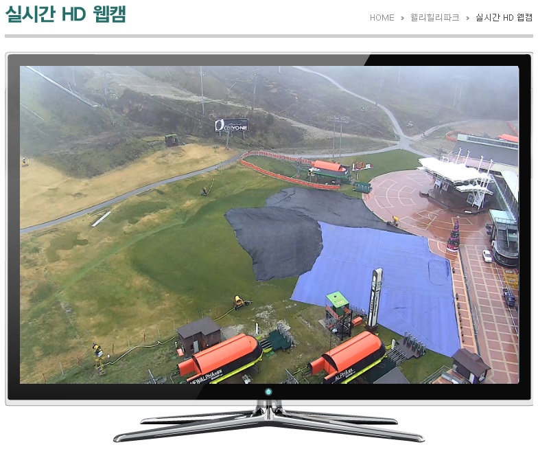 웰팍3.jpg