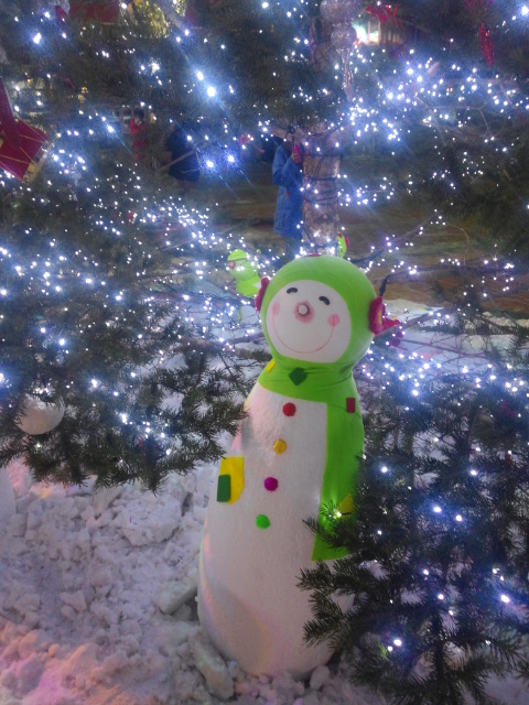IMG_20141225_010059.jpg