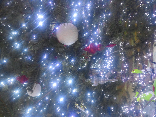 IMG_20141225_010120.jpg