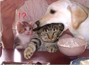 20121025_184644.png
