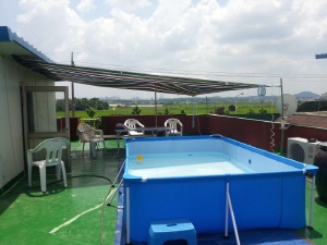 swim3.jpg