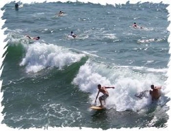 surf-report.jpg