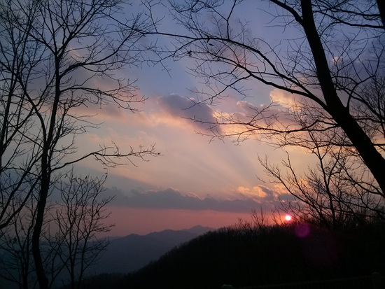 CAM00342.jpg