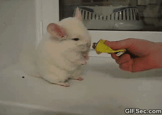 hu_1432645872_4591916344.gif