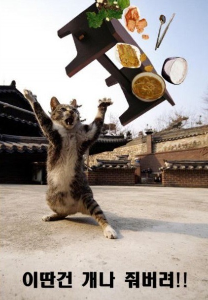 %3F%3F%3F%3F%3F%3F%3F%3F%3F%3F_2013-03-13_%3F%3F%3F%3F_1_34_10.jpg