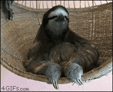 032.gif