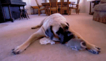 hu_1432560886_8333300218.gif