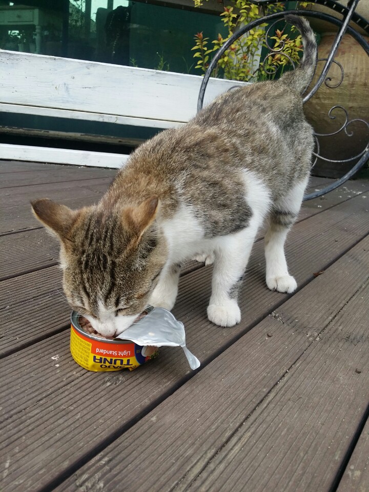 KakaoTalk_20150428_165716526.jpg