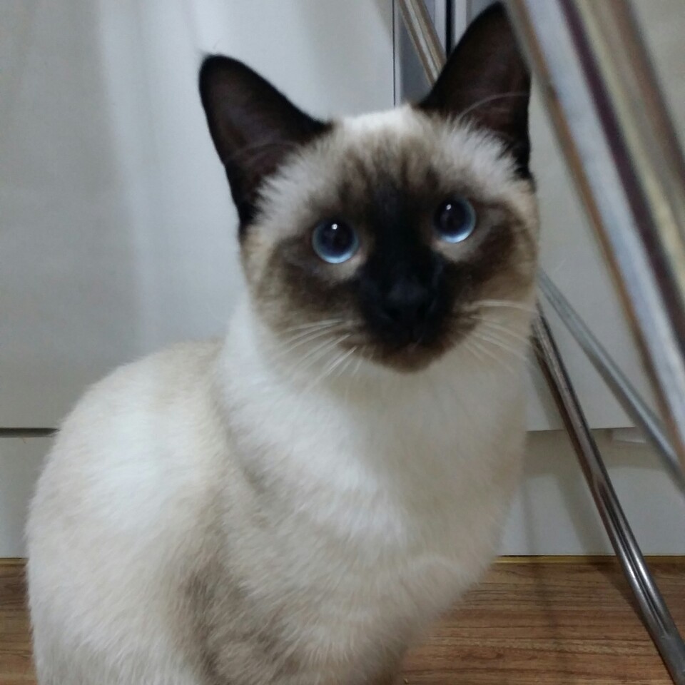 KakaoTalk_20150428_171919619.jpg