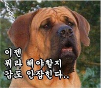 뭐라해야할지.jpg