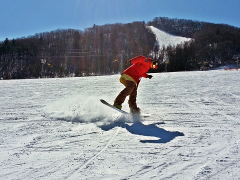 20160301_112853_18-crop_1.jpg