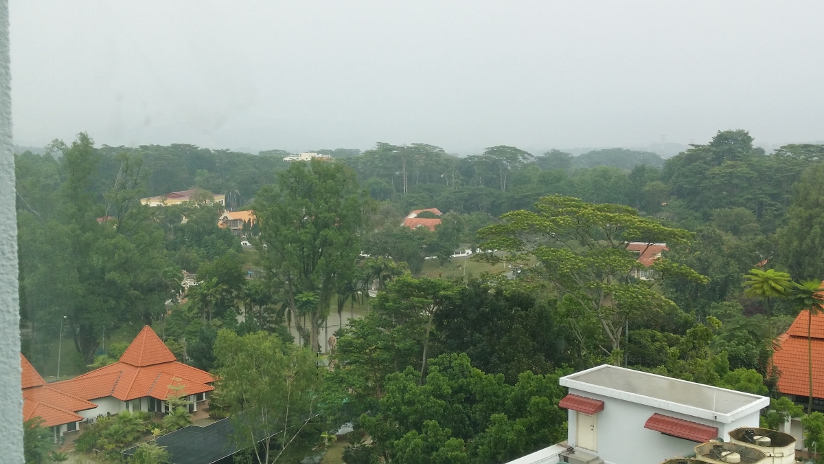 20150321_161626.jpg