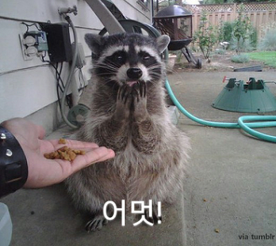 daum_gallery_photo_20141010001054.png