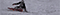 test_icon.gif