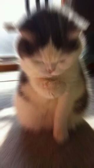 IMG_4713718357964.jpeg