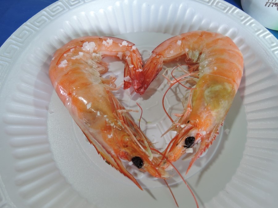 DSCN4552.jpg
